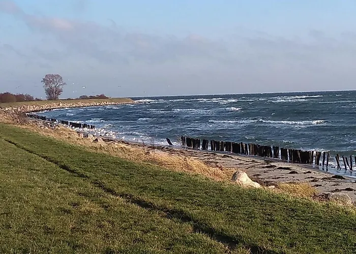 Fewo 7 Mit Sued- Terrasse 3 Zimmer Tischtennis Schaukel * Dahme (Schleswig-Holstein)